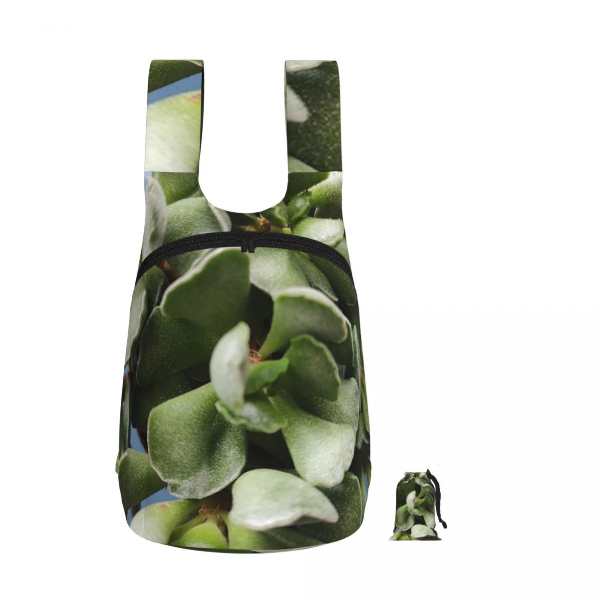 Echeveria Succulent - Echeveria 8,5 Succulent Houseleek Backpack Student