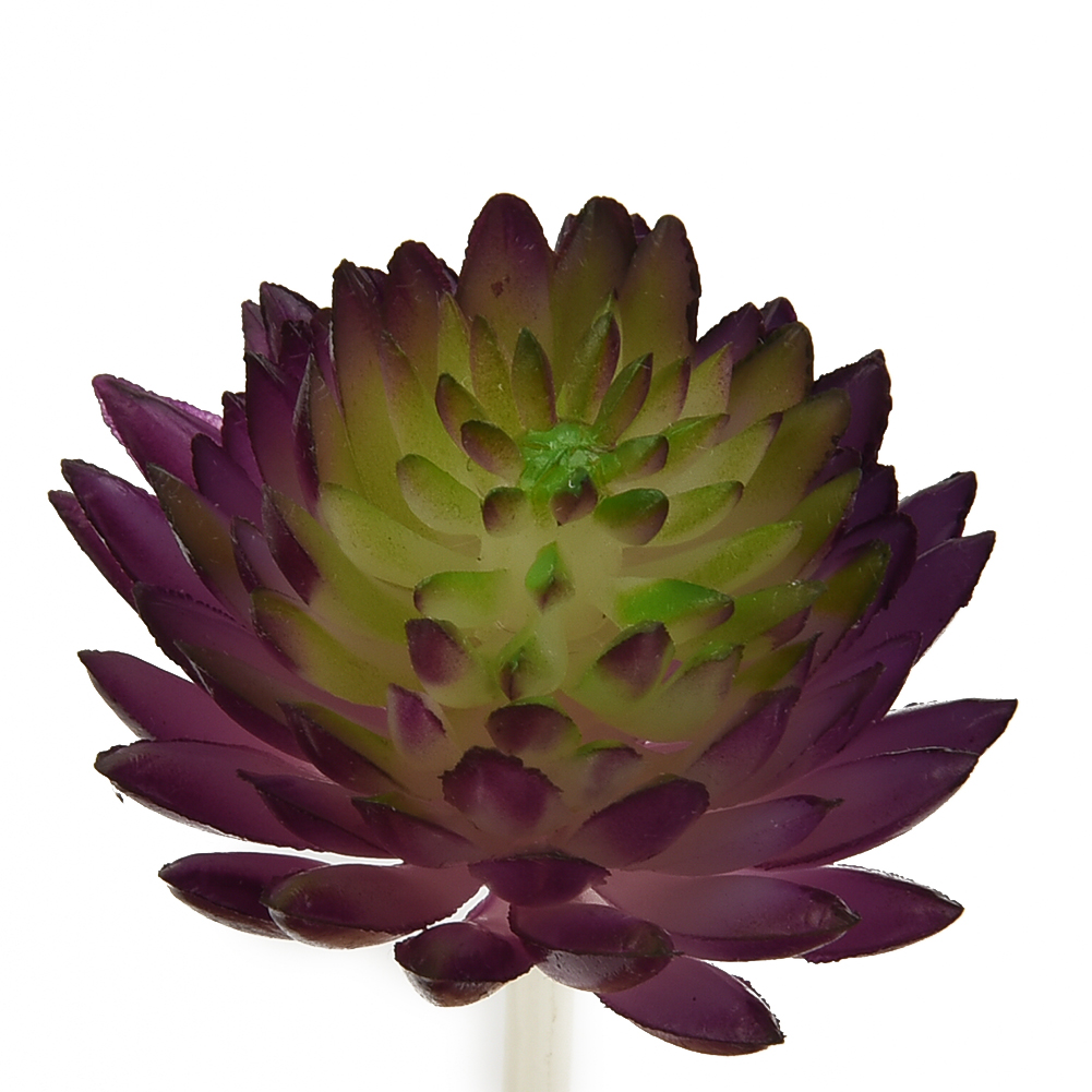 Echeveria Succulent - Artifical Artificial Plant Plant Decor Succulent