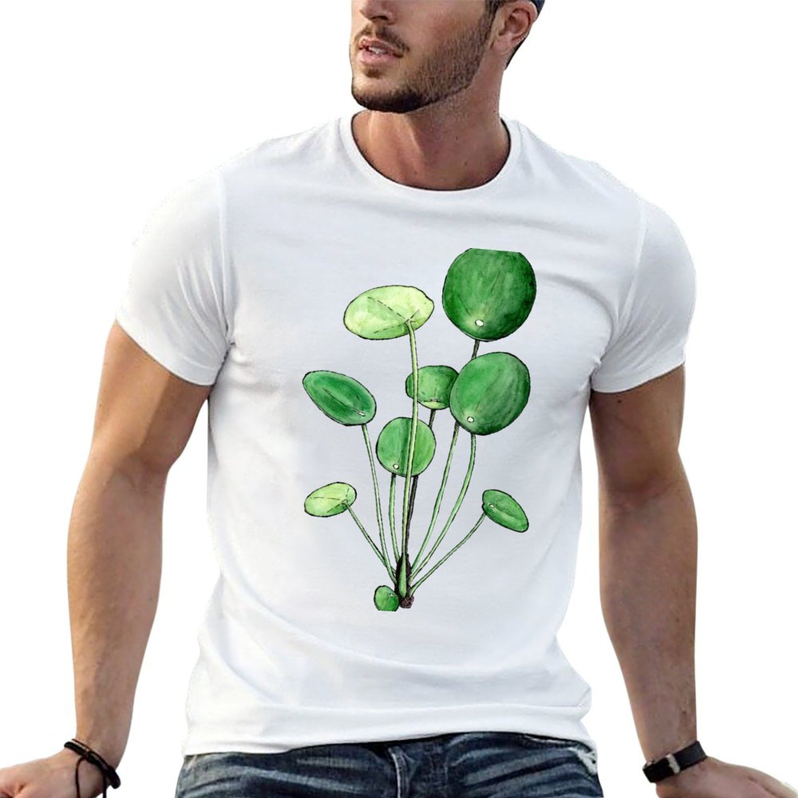 Pilea Peperomioides - Pilea Peperomioides - Watercolour Plant Illustration