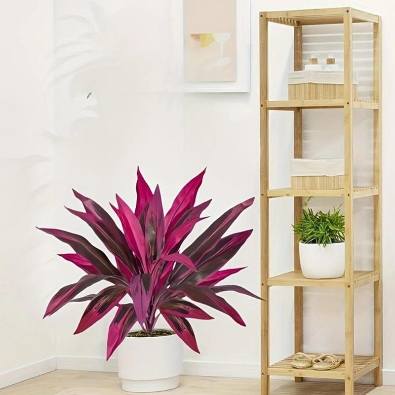60cm Tall Artificial Dracaena  - Dracaena Marginata 리뷰 및 가격