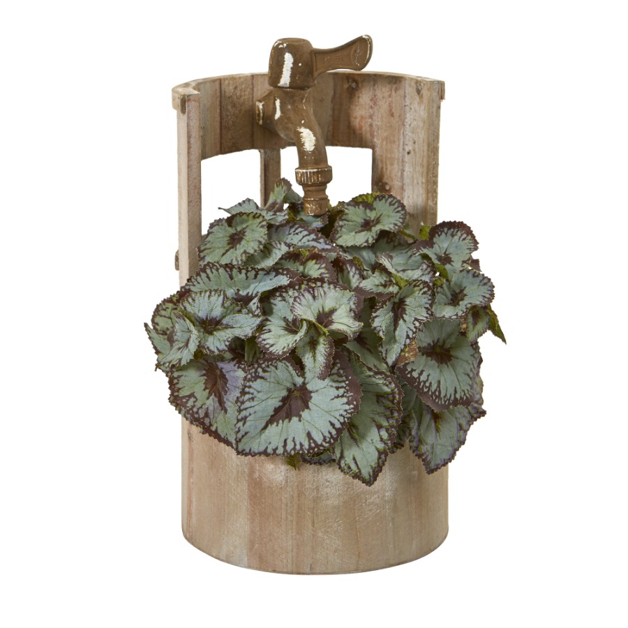 12in. Rex Begonia Artificial P - Begonia Rex 리뷰 및 가격