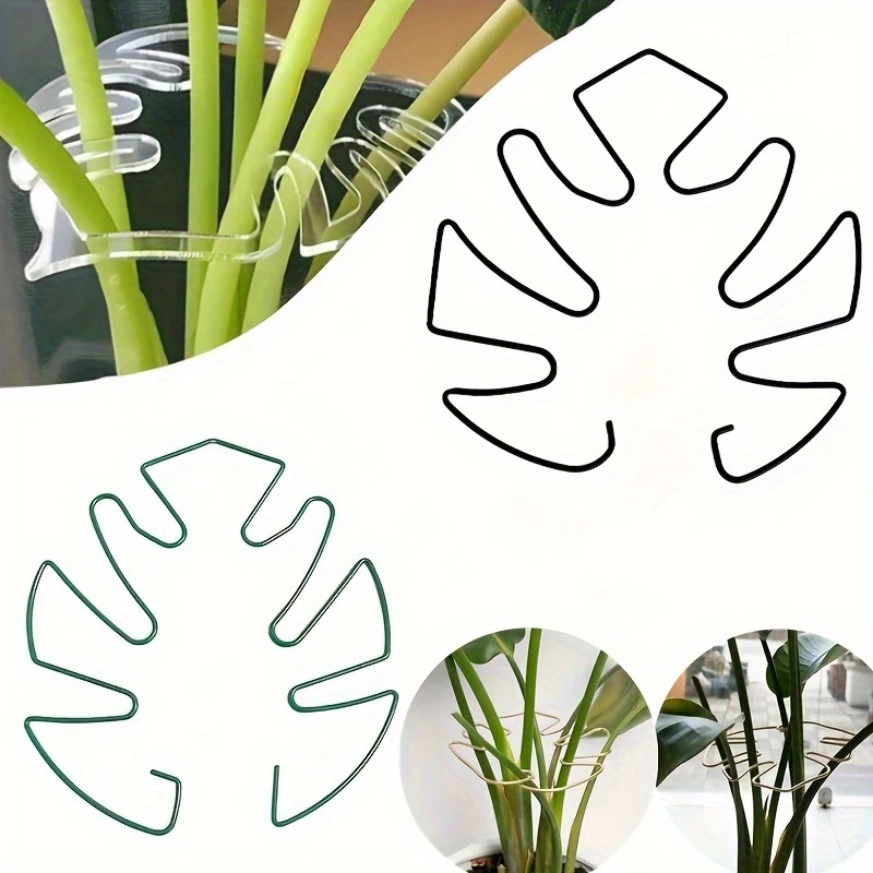 Large hanging plant stand, iro - Aloe Vera Pot 리뷰 및 가격