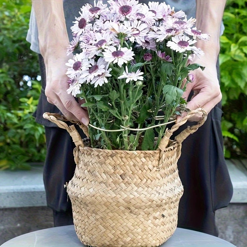 Large hanging plant stand, iro - Aloe Vera Pot 리뷰 및 가격