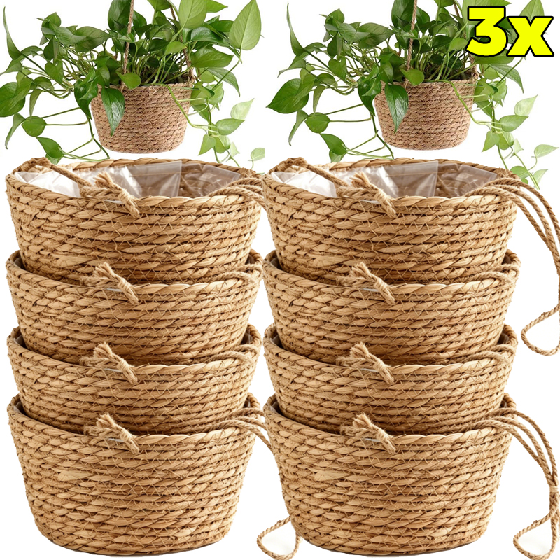 1/3x Rope Hanging Planter Bask - Spider Plant Hanging 리뷰 및 가격