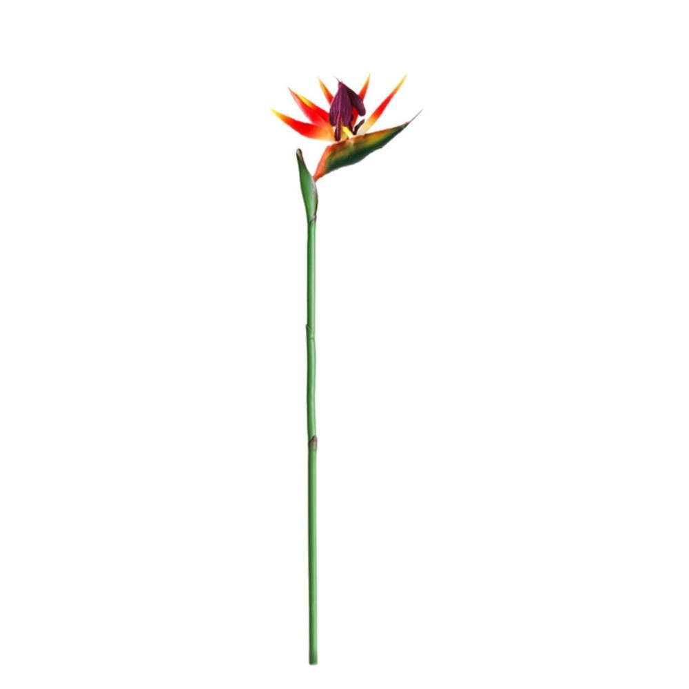 New Long Stem Artificial Bird  - Bird Paradise Strelitzia 리뷰 및 가격