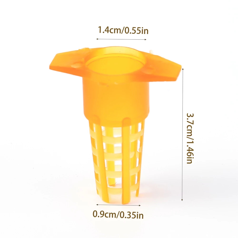 50 Pcs King Cells Plastic Bee  - Begonia Rex 리뷰 및 가격