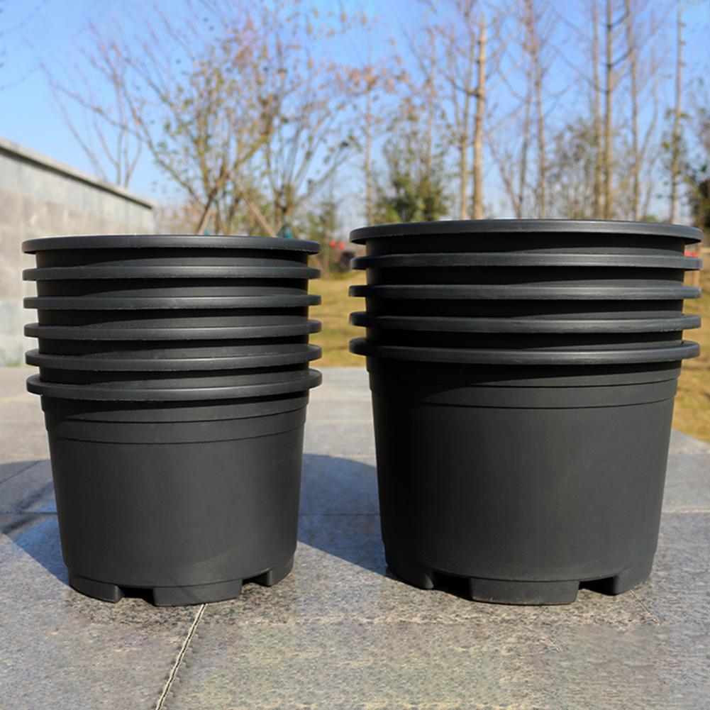 Indoor Plant Pot Black Plastic - Aloe Vera Pot 리뷰 및 가격
