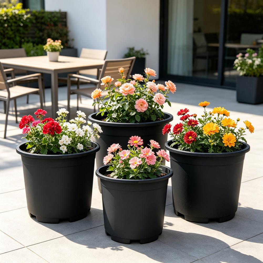 Indoor Plant Pot Black Plastic - Aloe Vera Pot 리뷰 및 가격