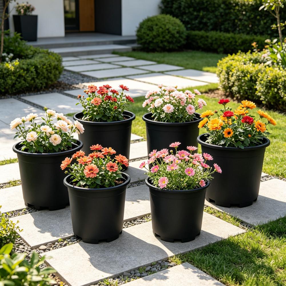 Indoor Plant Pot Black Plastic - Aloe Vera Pot 리뷰 및 가격