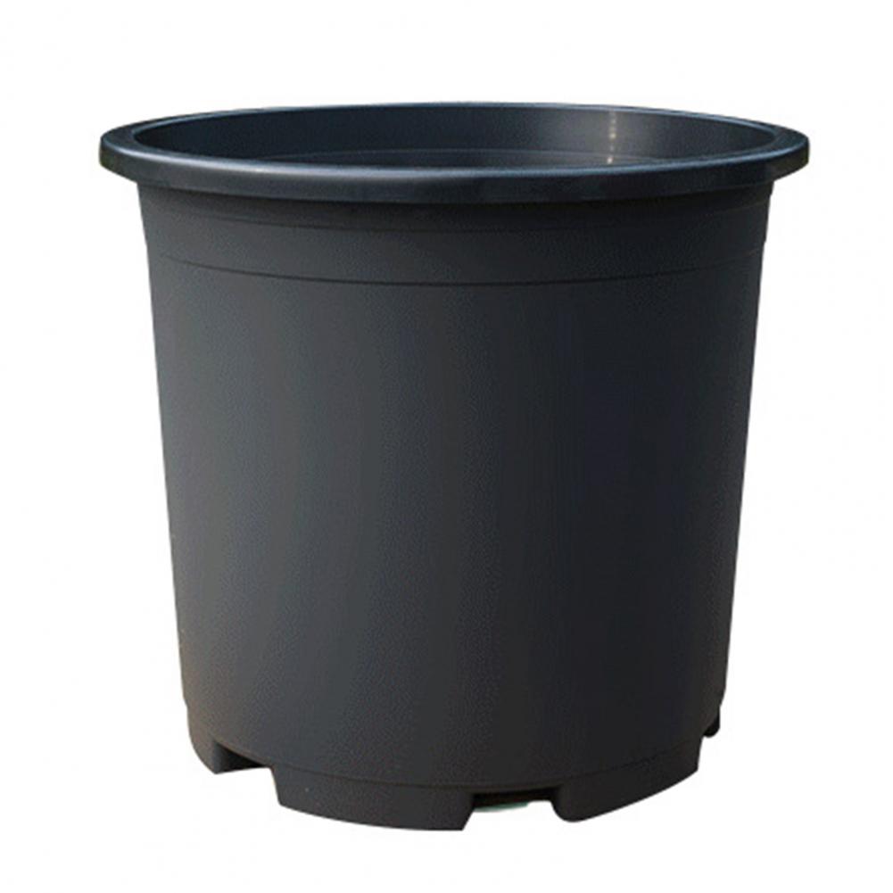 Indoor Plant Pot Black Plastic - Aloe Vera Pot 리뷰 및 가격