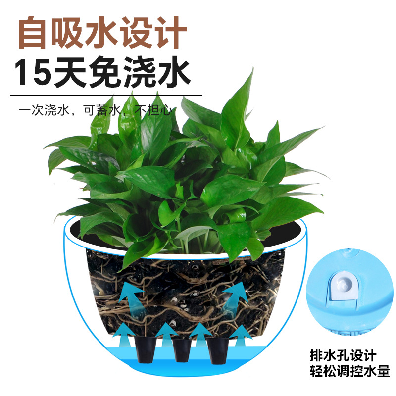 New simple imitation rattan wo - Spider Plant Hanging 리뷰 및 가격