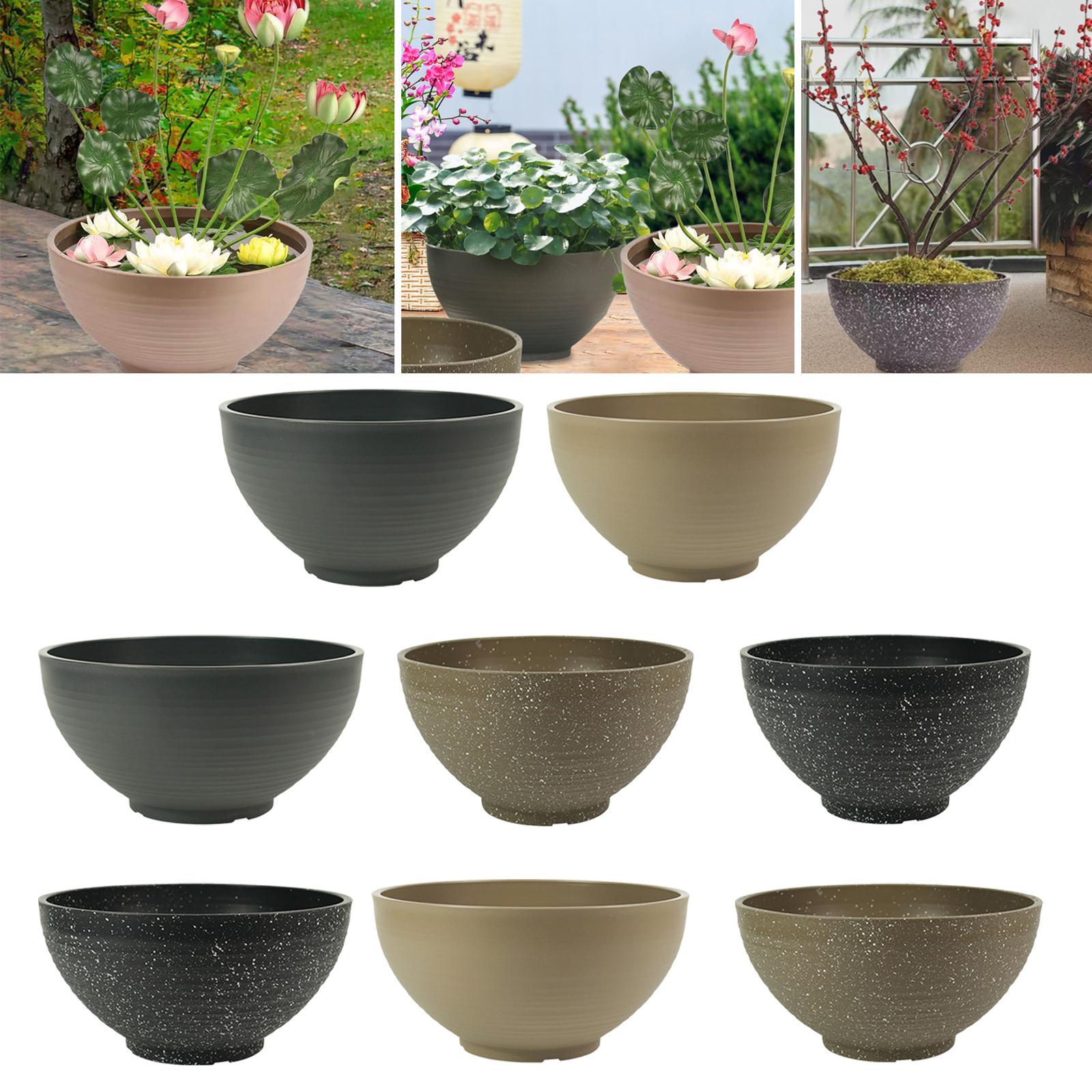 Garden Large-capacity Bowl Pla - Aloe Vera Pot 리뷰 및 가격