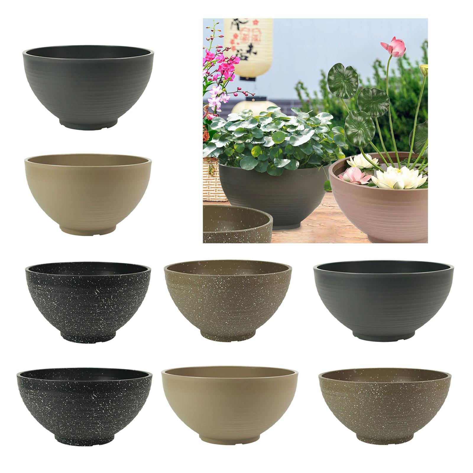 Garden Large-capacity Bowl Pla - Aloe Vera Pot 리뷰 및 가격