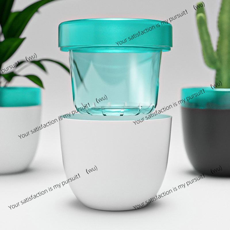 Automatic Water Absorption Laz - Aloe Vera Pot 리뷰 및 가격
