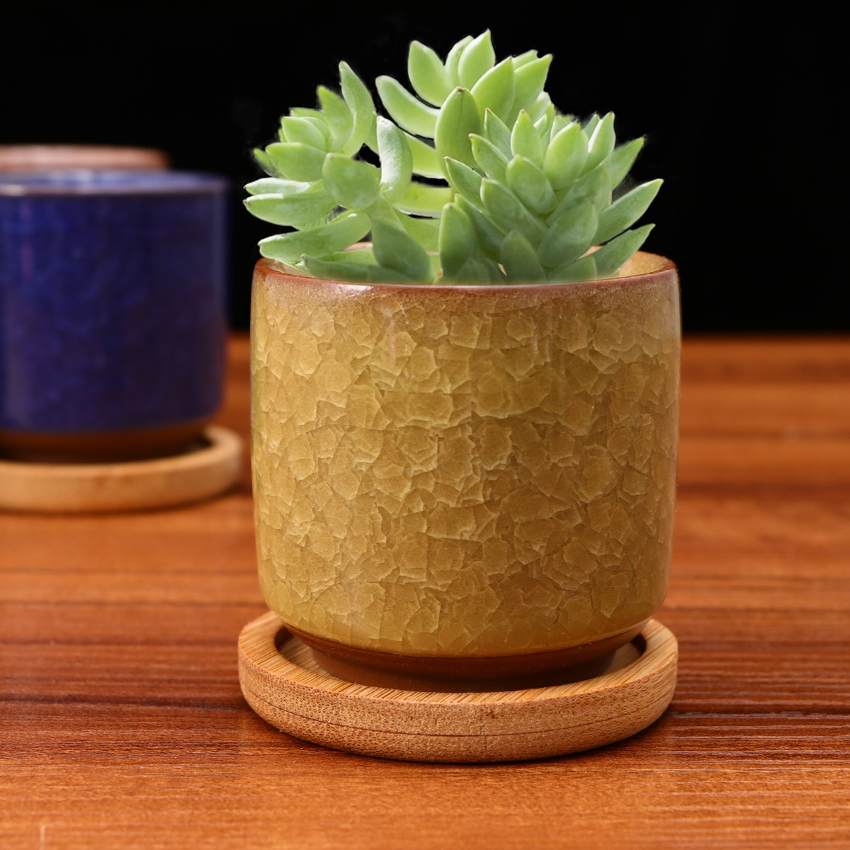 Mini Cracked Glaze Ceramic Pot - Aloe Vera Pot 리뷰 및 가격