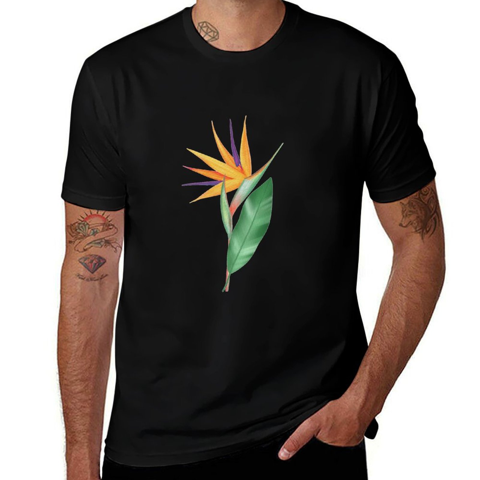 Watercolor bird of paradise fl - Bird Paradise Strelitzia 리뷰 및 가격