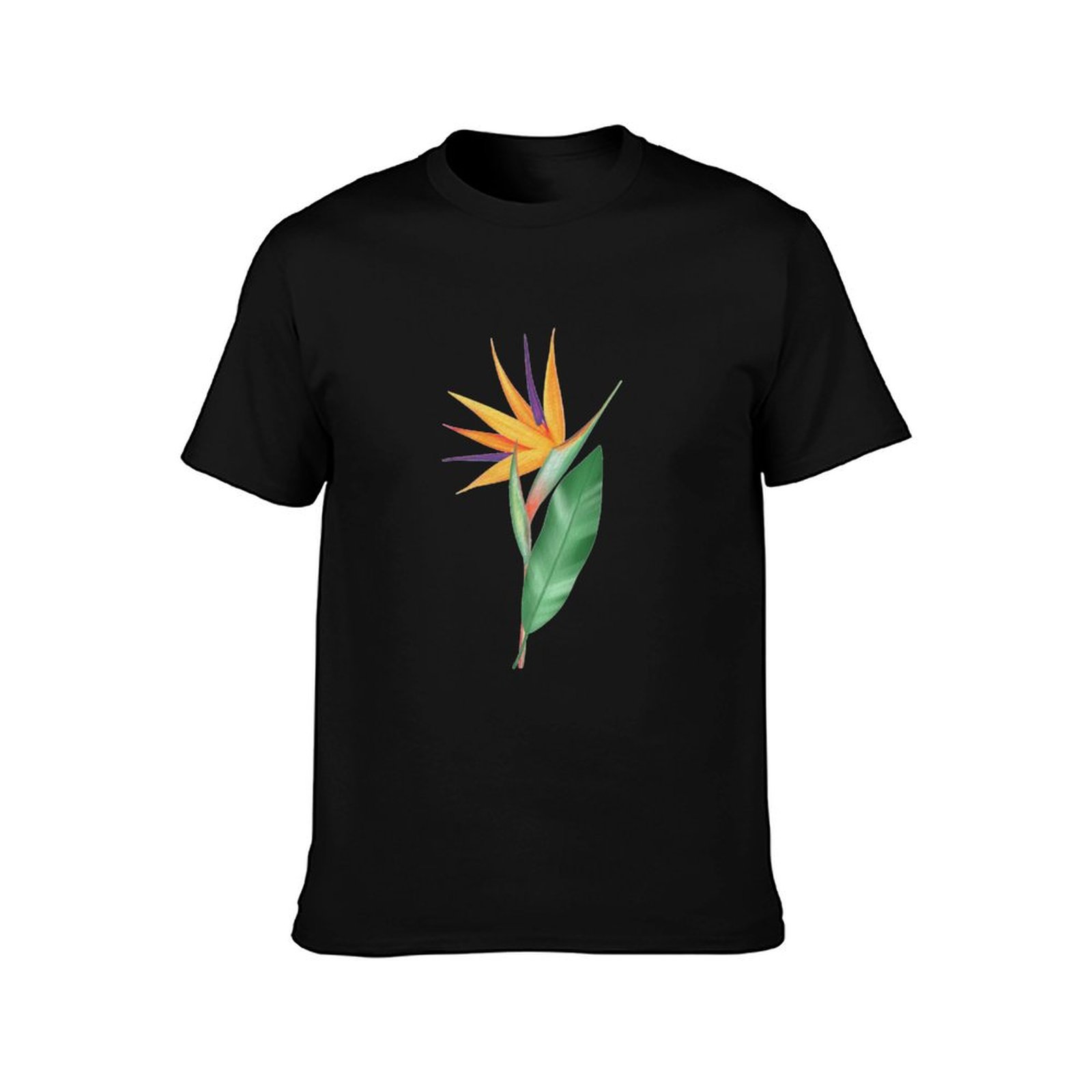 Watercolor bird of paradise fl - Bird Paradise Strelitzia 리뷰 및 가격