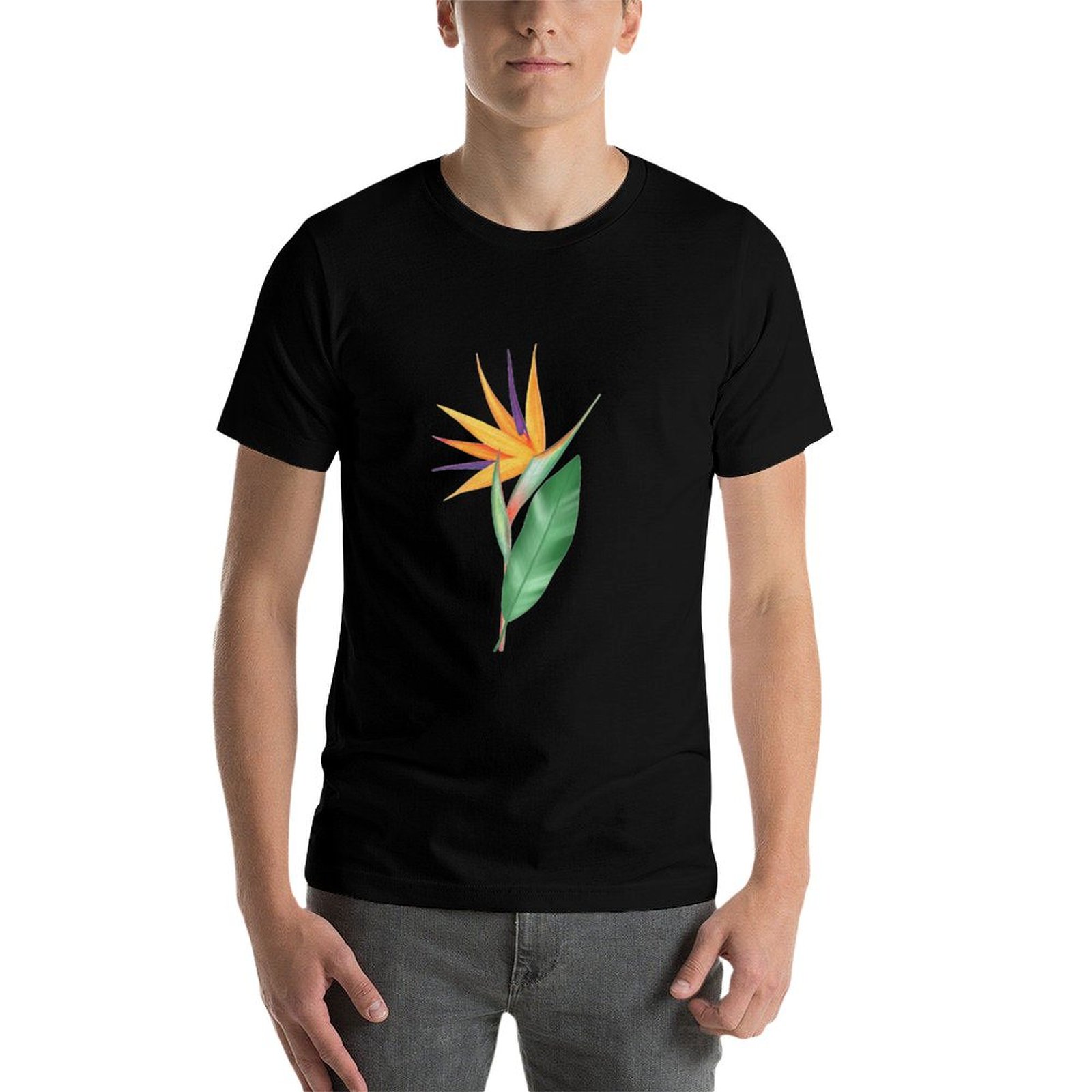 Watercolor bird of paradise fl - Bird Paradise Strelitzia 리뷰 및 가격