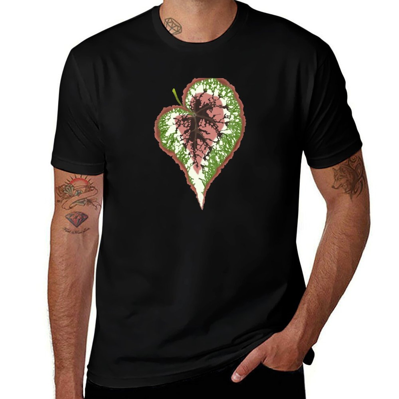 Begonia Rex T-Shirt Basic Simp - Begonia Rex 리뷰 및 가격