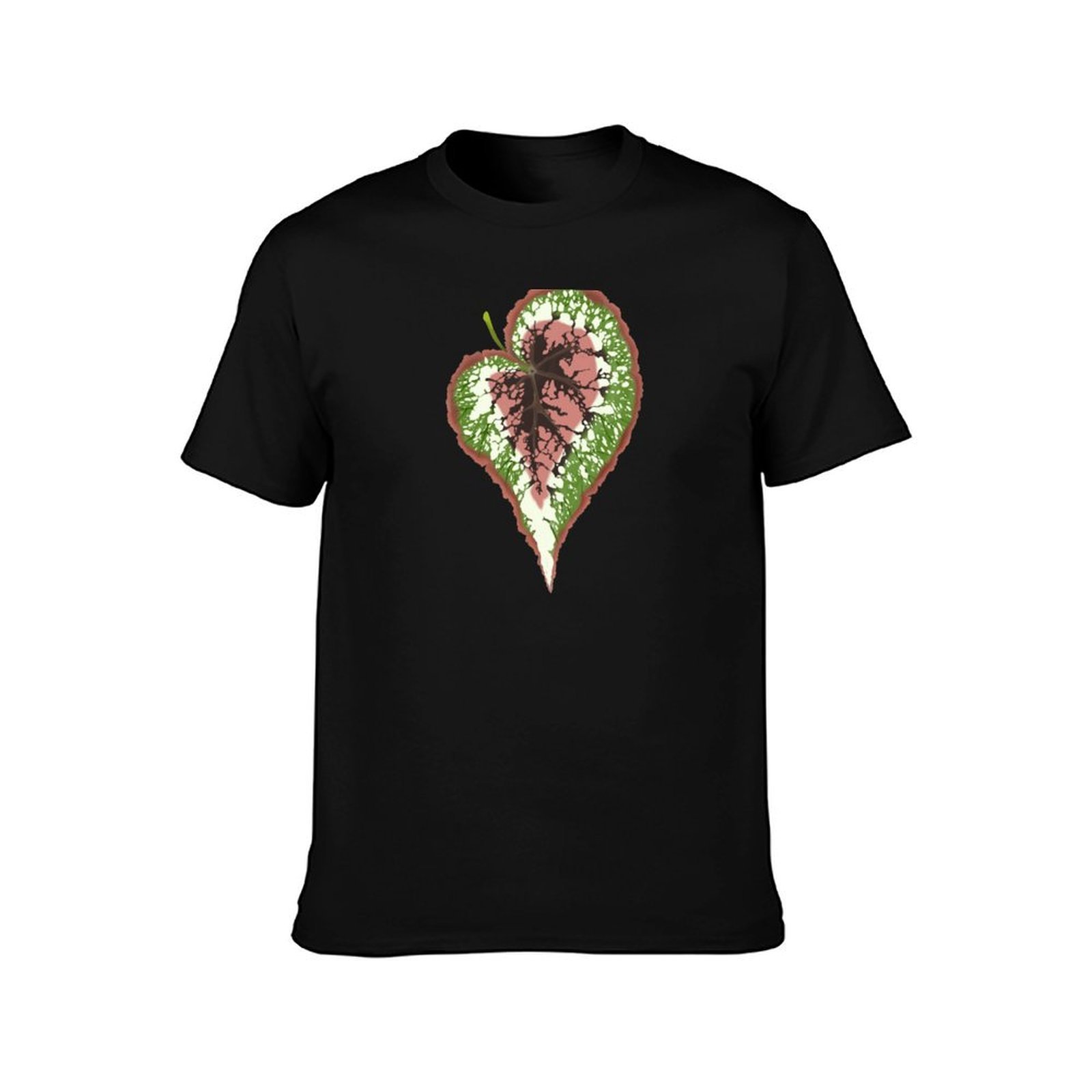 Begonia Rex T-Shirt Basic Simp - Begonia Rex 리뷰 및 가격