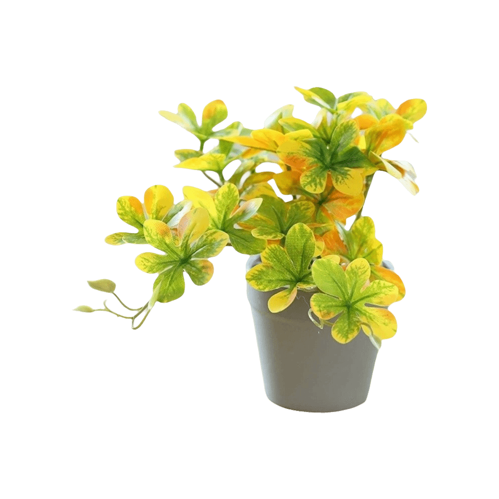 Bonsai Artificial Bonsai Plant - Spider Plant Hanging 리뷰 및 가격