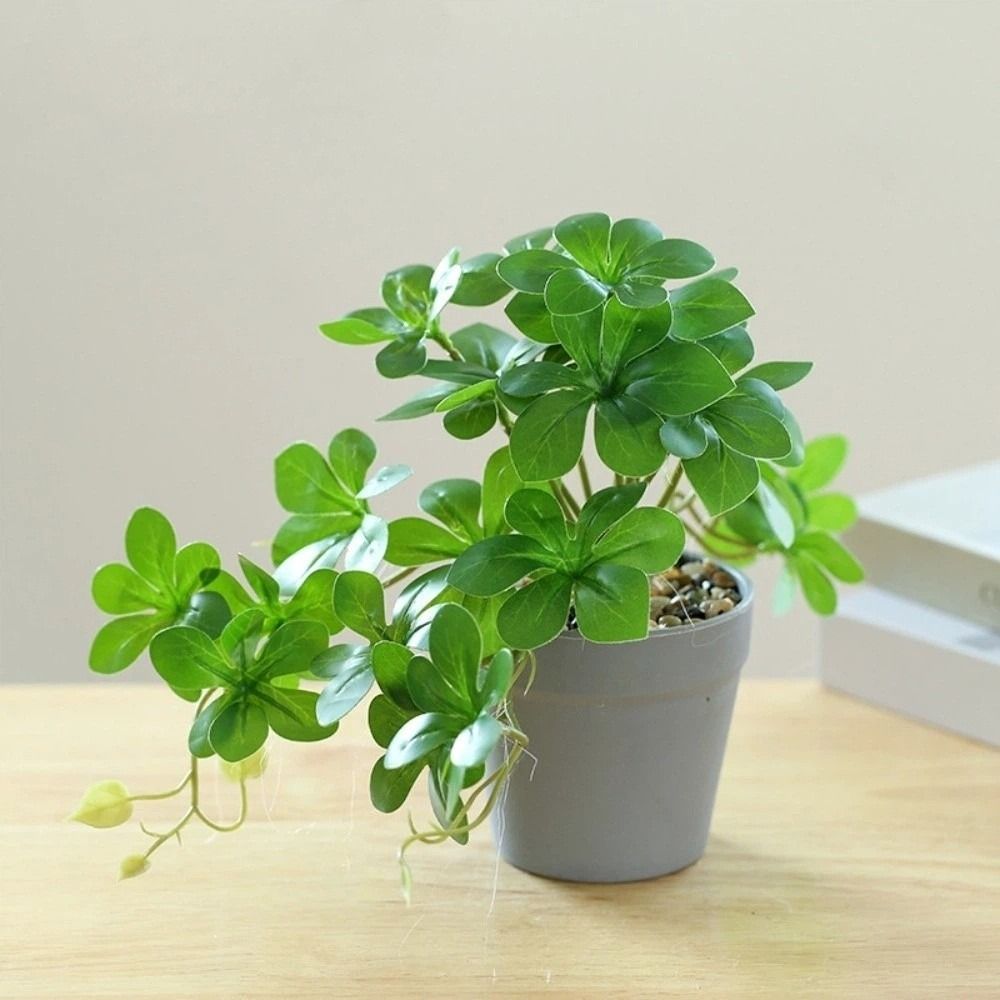 Bonsai Artificial Bonsai Plant - Spider Plant Hanging 리뷰 및 가격