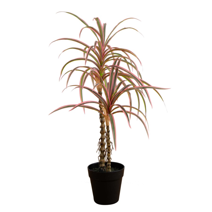 Dracaena Marginata Artificial  - Dracaena Marginata 리뷰 및 가격