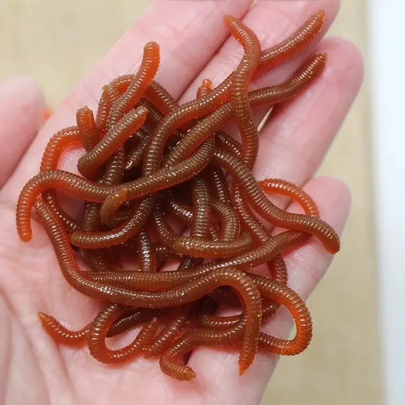 Lifelike Fishy Smell Red Soft  - Aglaonema Red 리뷰 및 가격
