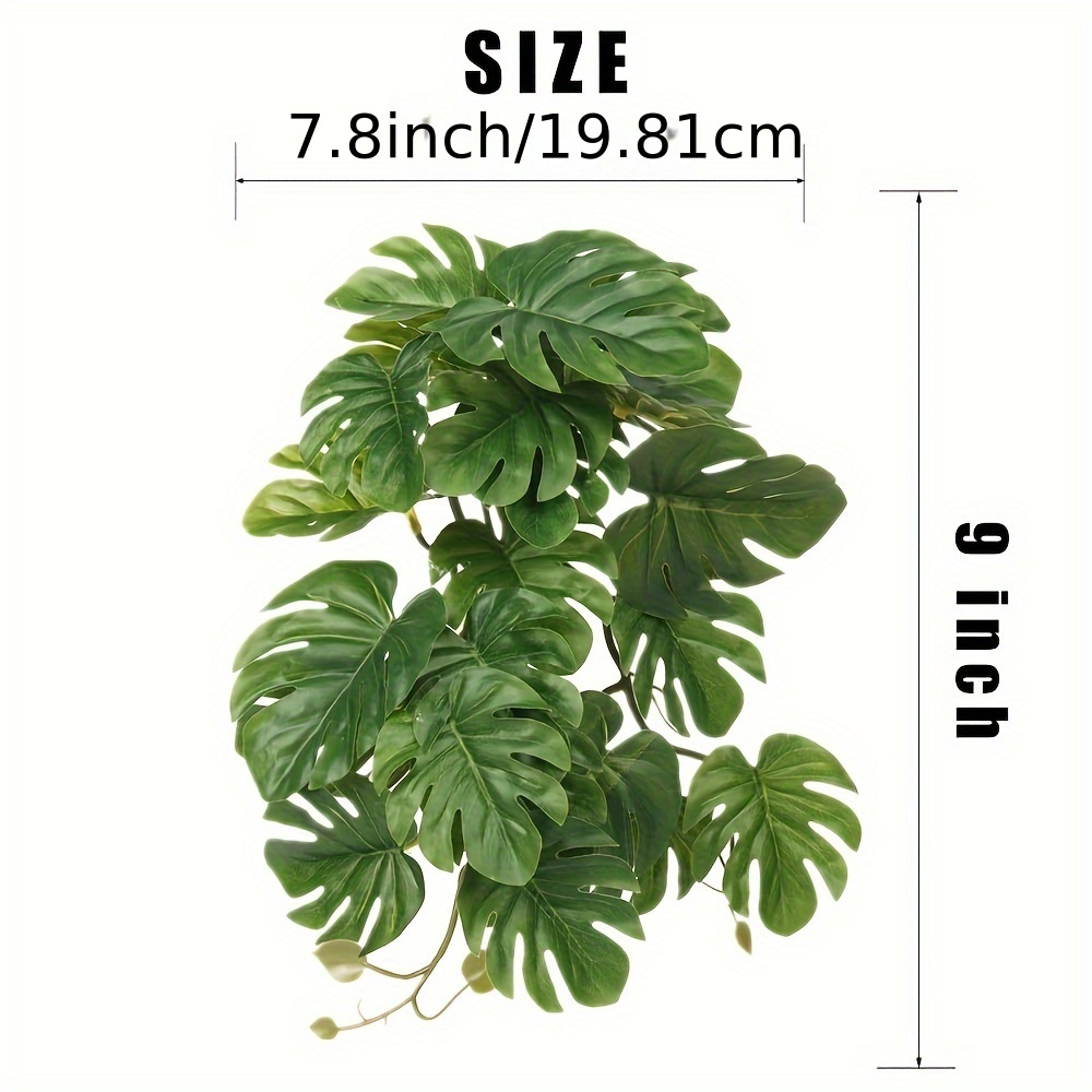 Reptile Plants for Terrarium A - Monstera Adansonii 리뷰 및 가격