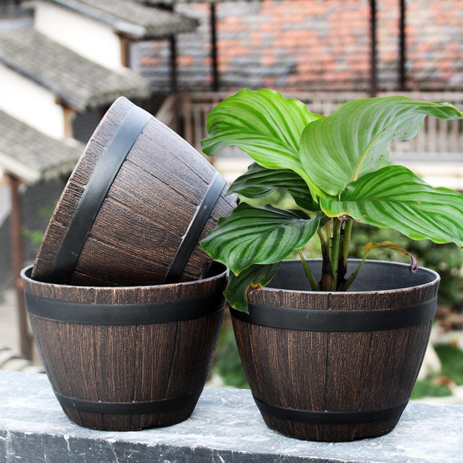 Barrel Planter Pot Large - Res - Aloe Vera Pot 리뷰 및 가격