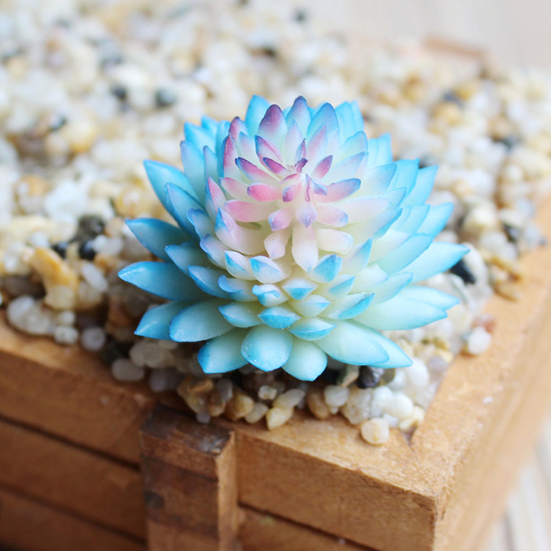 Artifical Artificial Plant Pla - Echeveria Succulent 리뷰 및 가격