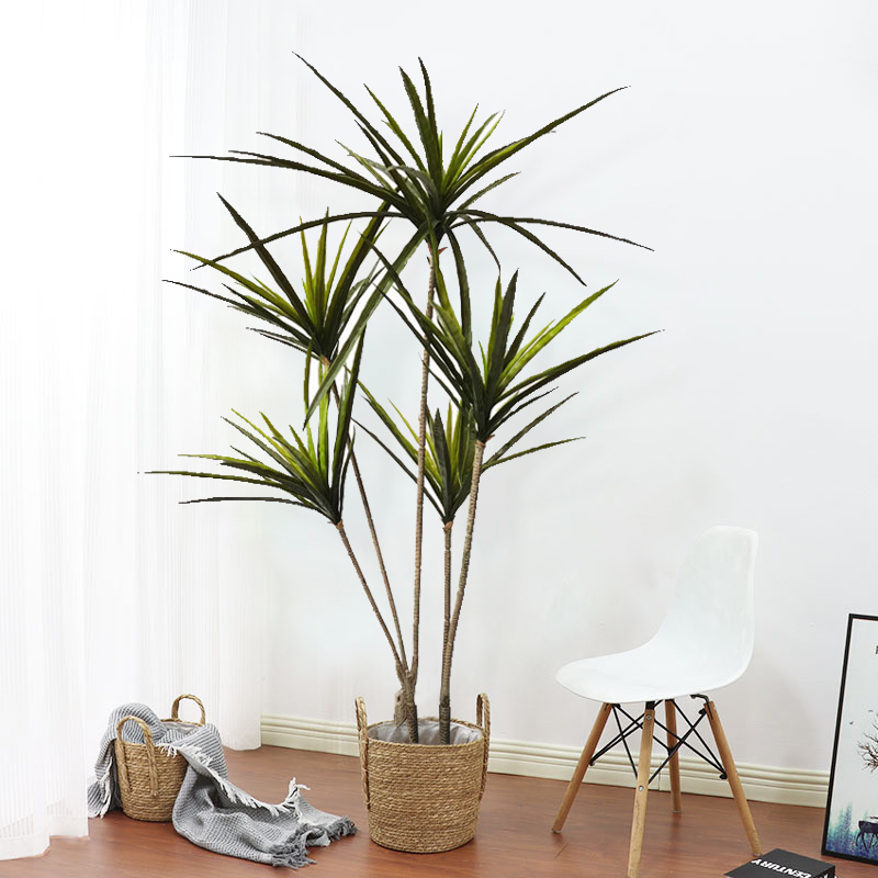 New 90-120cm Artificial Dracae - Dracaena Marginata 리뷰 및 가격