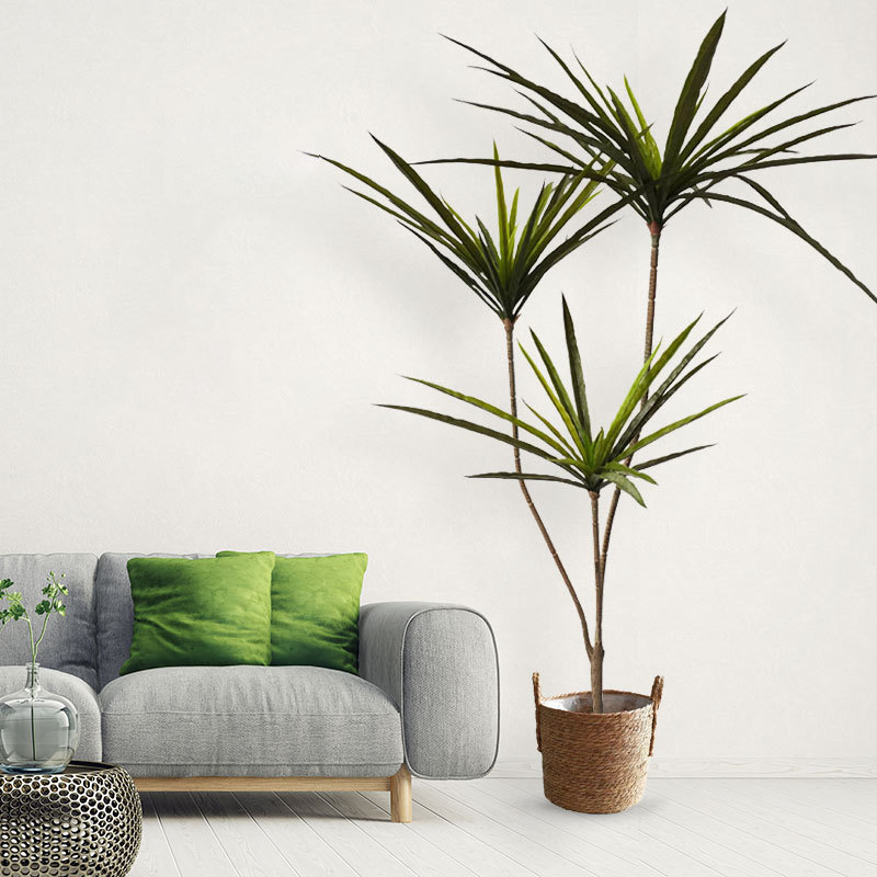 New 90-120cm Artificial Dracae - Dracaena Marginata 리뷰 및 가격