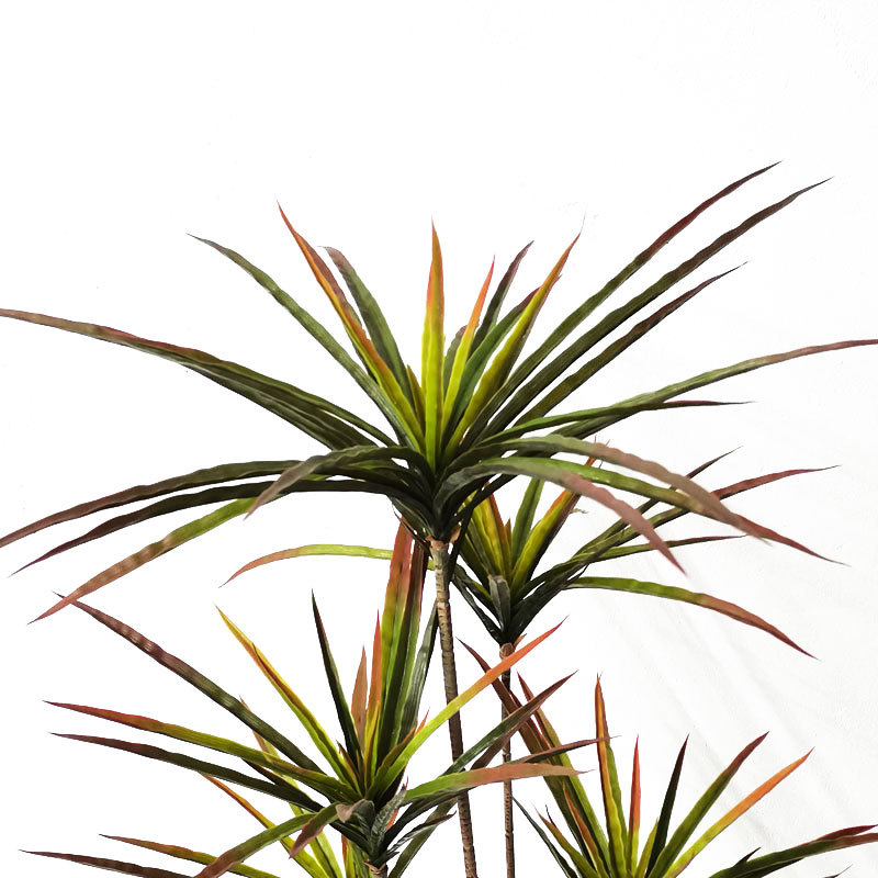 New 90-120cm Artificial Dracae - Dracaena Marginata 리뷰 및 가격