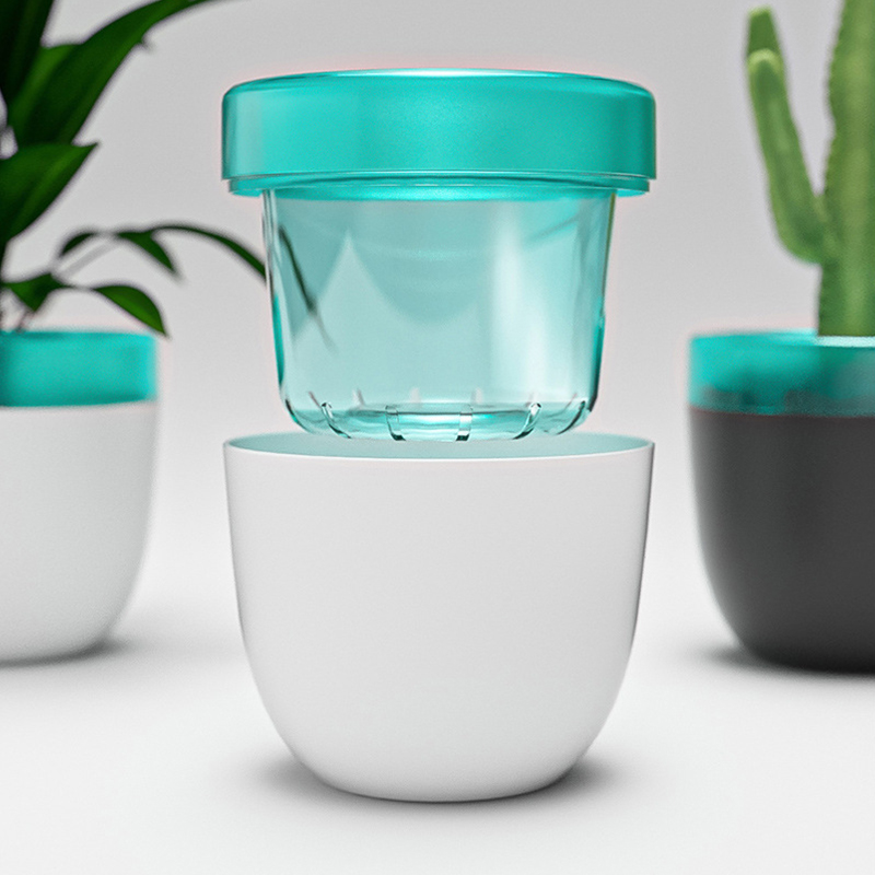 Automatic Water Absorption Laz - Aloe Vera Pot 리뷰 및 가격
