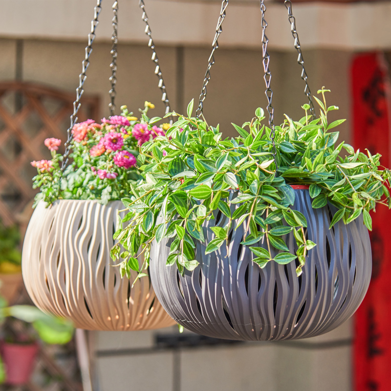 Hanging pot, plastic personali - Spider Plant Hanging 리뷰 및 가격