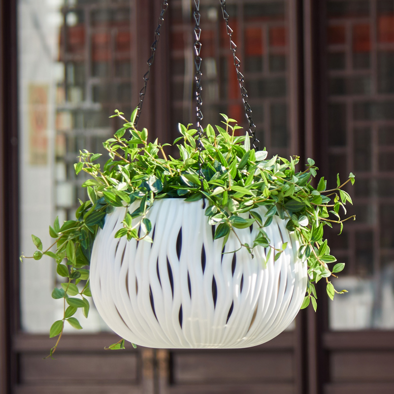 Hanging pot, plastic personali - Spider Plant Hanging 리뷰 및 가격