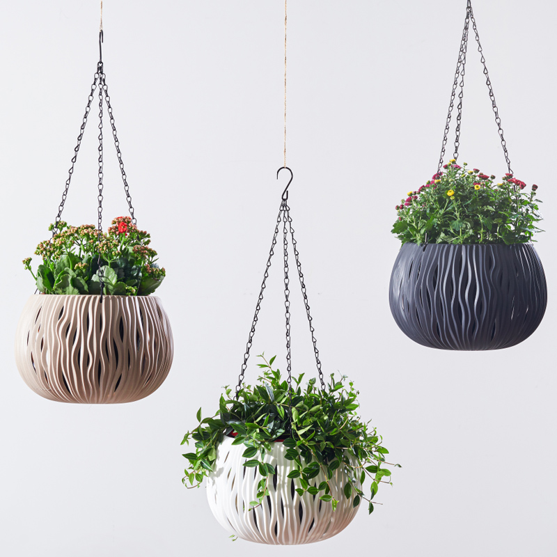 Hanging pot, plastic personali - Spider Plant Hanging 리뷰 및 가격