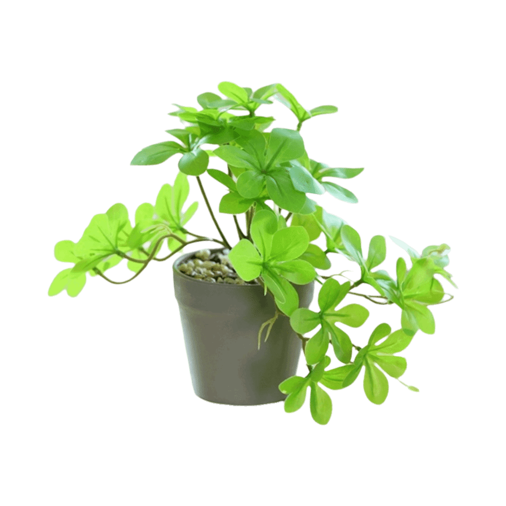 Bonsai Artificial Bonsai Plant - Spider Plant Hanging 리뷰 및 가격