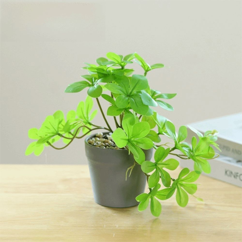 Bonsai Artificial Bonsai Plant - Spider Plant Hanging 리뷰 및 가격