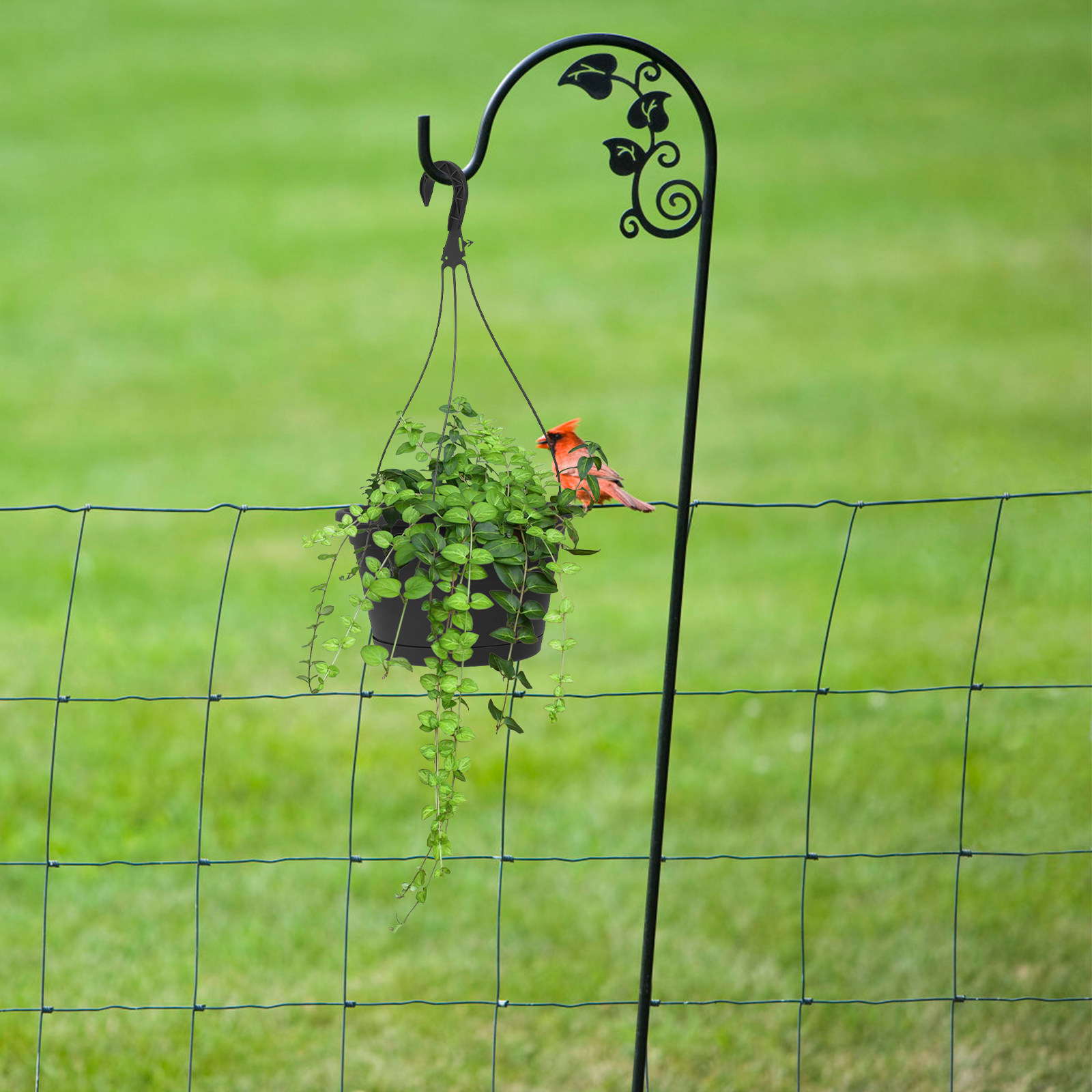 1Pcs Modern Hanging Flowerpot  - Spider Plant Hanging 리뷰 및 가격