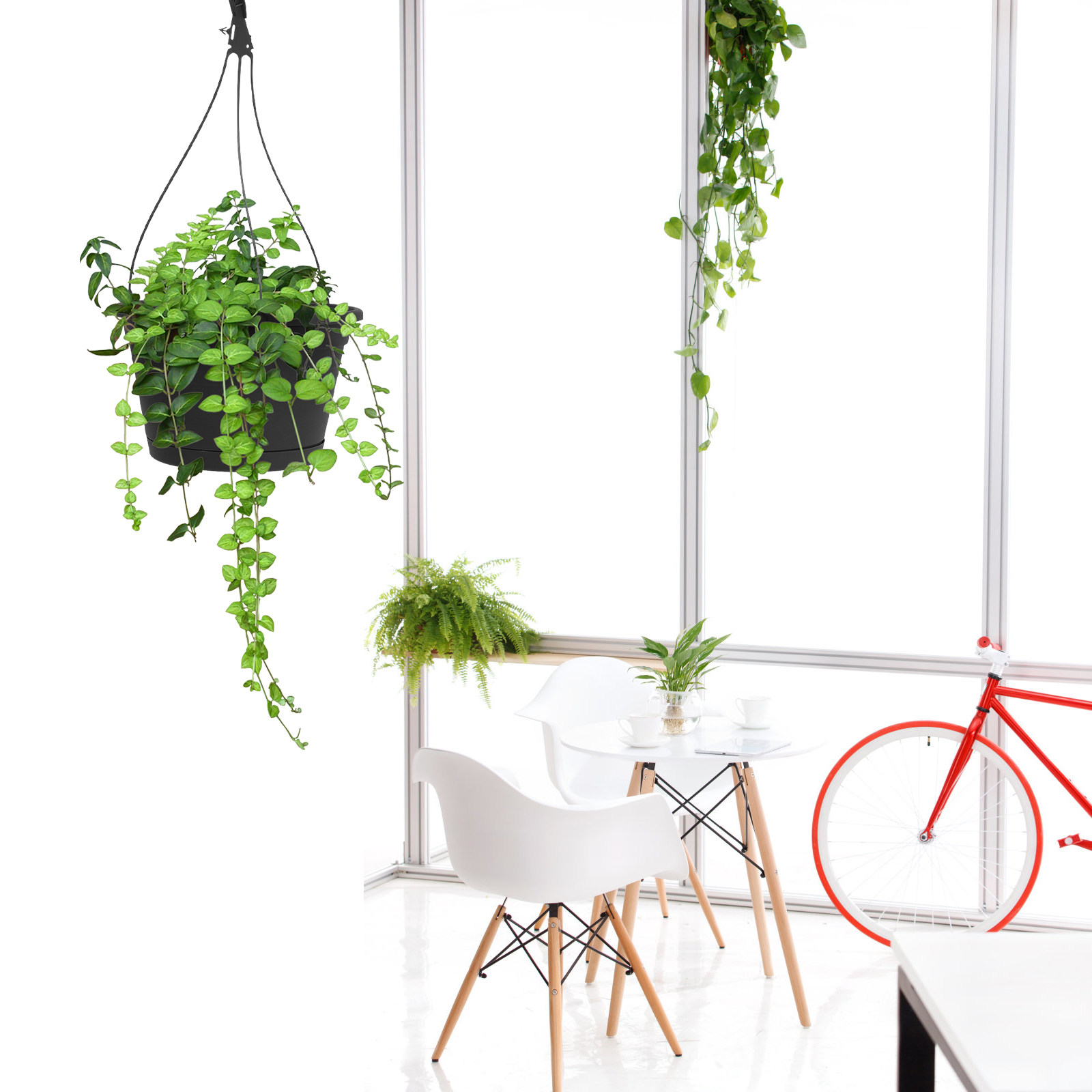 1Pcs Modern Hanging Flowerpot  - Spider Plant Hanging 리뷰 및 가격