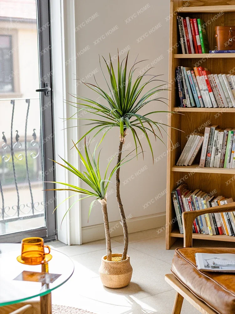 Light Luxury Simulation Green  - Dracaena Marginata 리뷰 및 가격