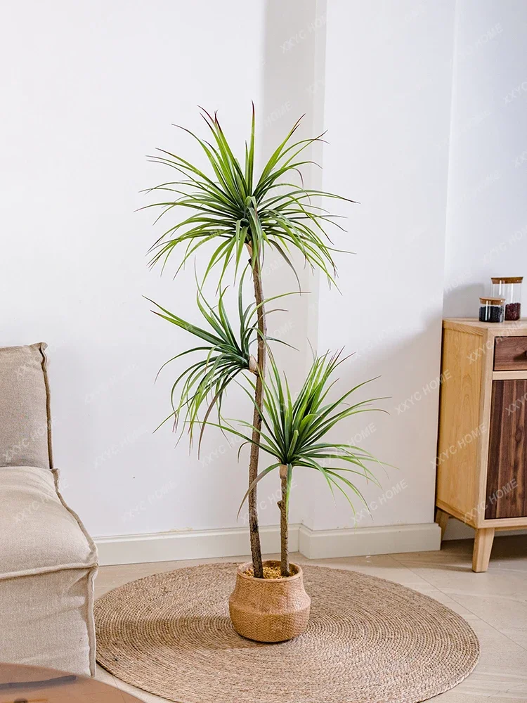 Light Luxury Simulation Green  - Dracaena Marginata 리뷰 및 가격