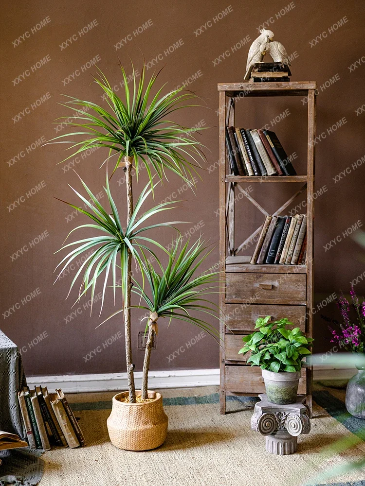 Light Luxury Simulation Green  - Dracaena Marginata 리뷰 및 가격