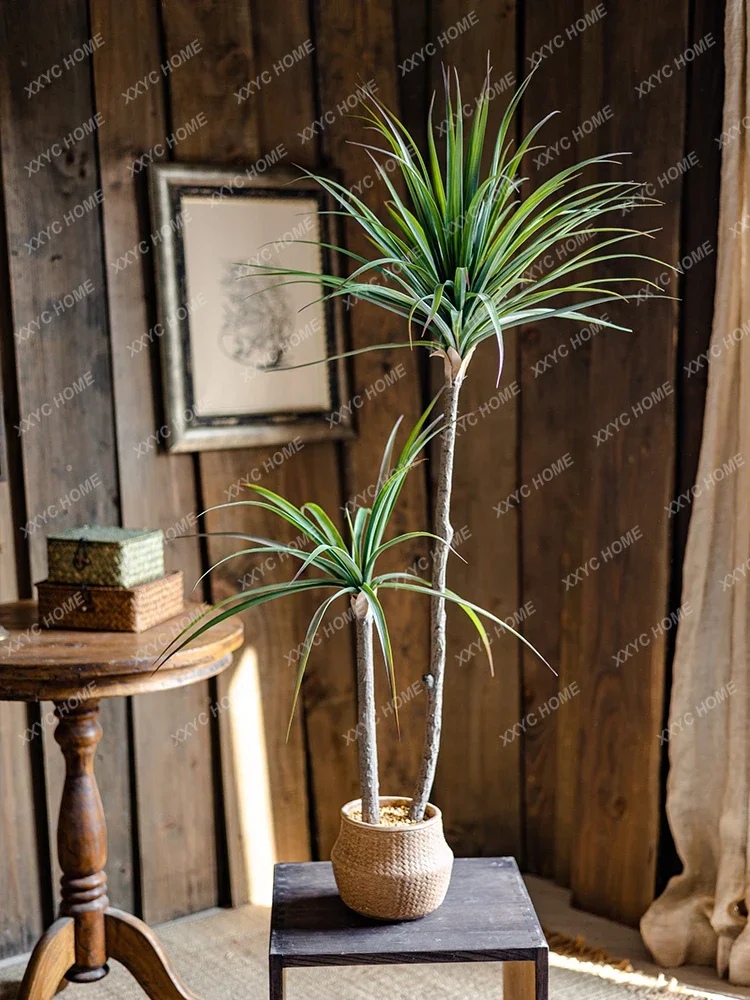 Light Luxury Simulation Green  - Dracaena Marginata 리뷰 및 가격