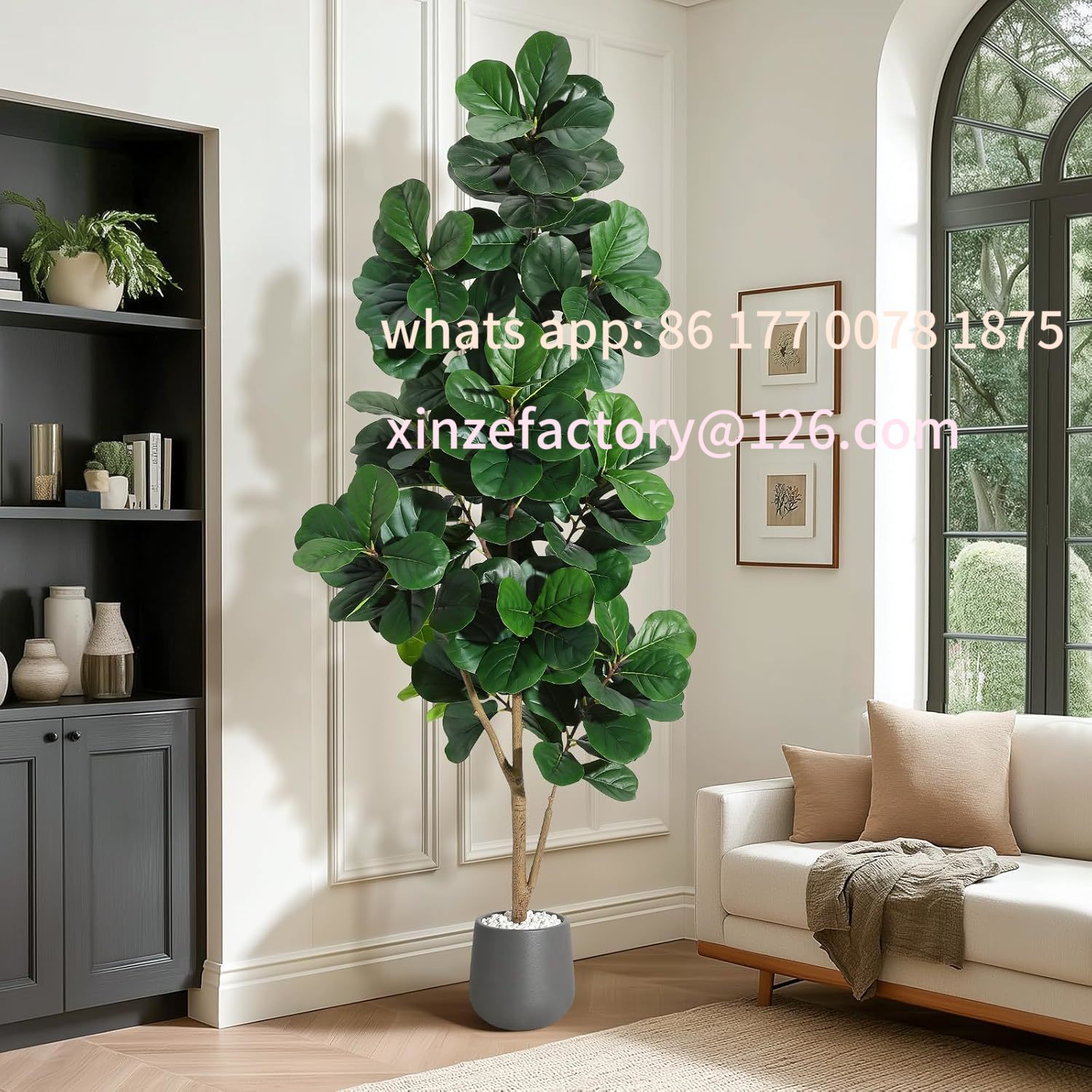 Customizable 4FT/5FT/6FT/7FT F - Ficus Lyrata Tree 리뷰 및 가격