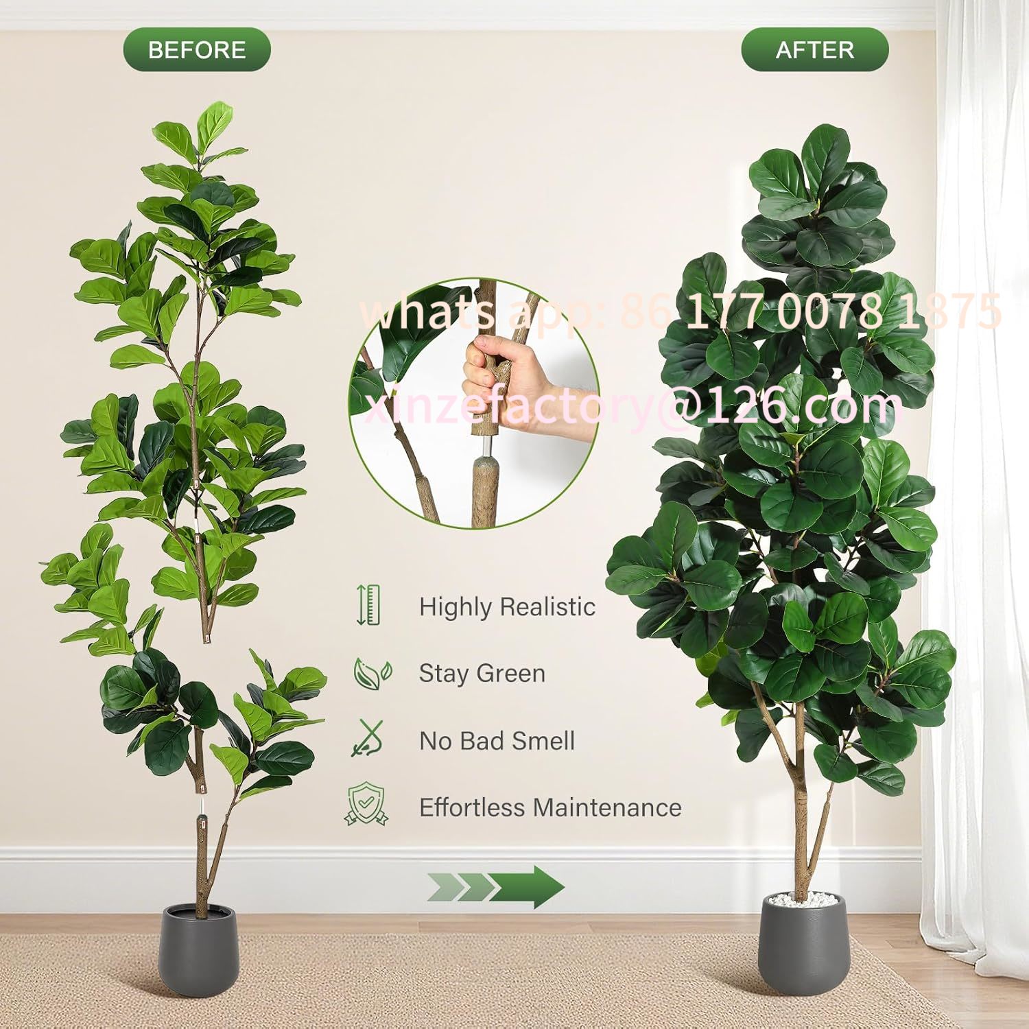 Customizable 4FT/5FT/6FT/7FT F - Ficus Lyrata Tree 리뷰 및 가격
