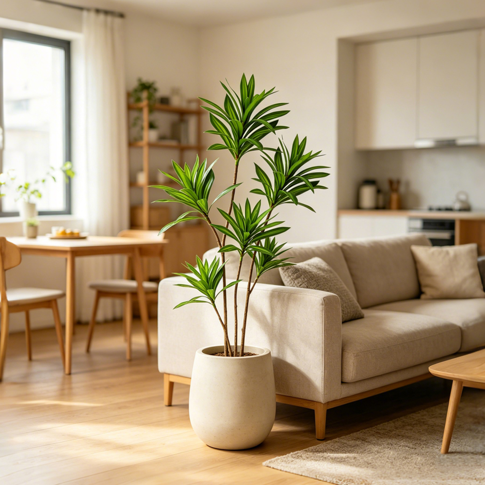 66-98cm Large Artificial Palm  - Dracaena Marginata 리뷰 및 가격