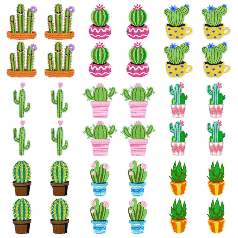 10Pcs/Lot Western Desert Iron  - Aloe Vera Pot 리뷰 및 가격